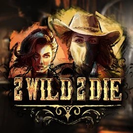 Play the 2 Wild 2 Die slot by Hacksaw Gaming on Lilibet Casino
